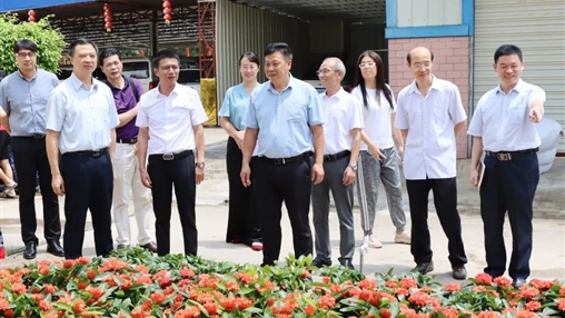 自治區(qū)政協(xié)常委、梧州市政協(xié)主席黃振饒蒞臨百裕集團(tuán)走訪調(diào)研